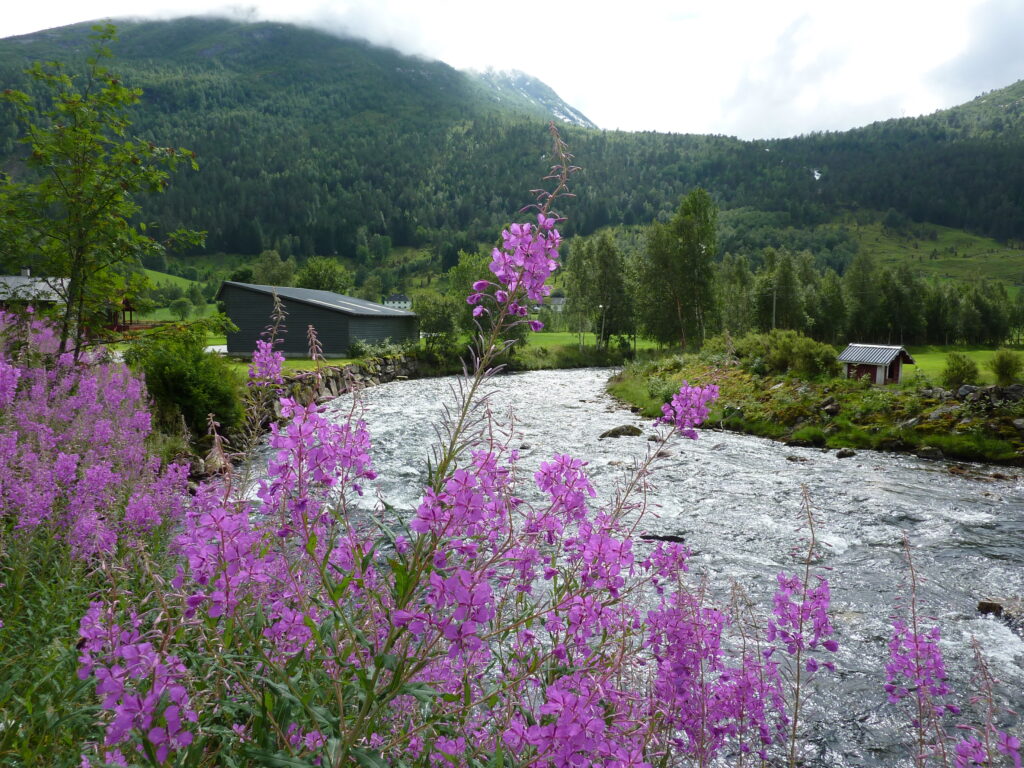 Dalsfjord 2013 189 1024x768