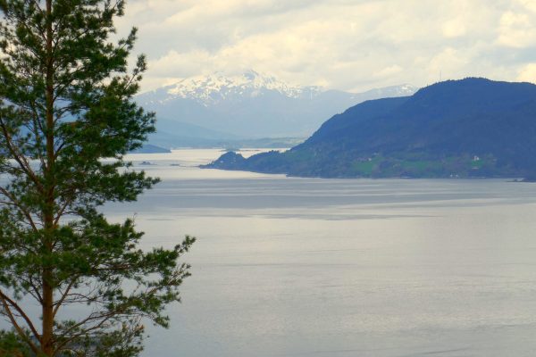 Langfjord